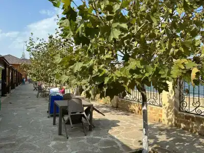 Sanitas Resort&SPA - 6