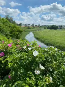 Усадьба на Спасской - 14