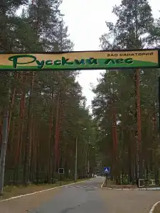 Русский лес - 50