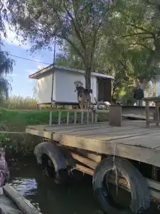 Пиранья-дельта - 17