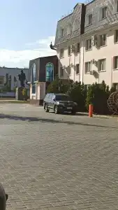 Шишкин - 40