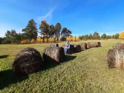 Ясная Поляна - 1
