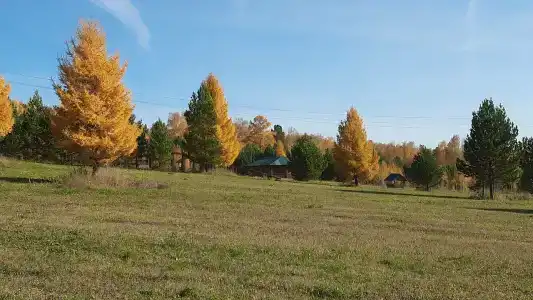 Ясная Поляна - 32