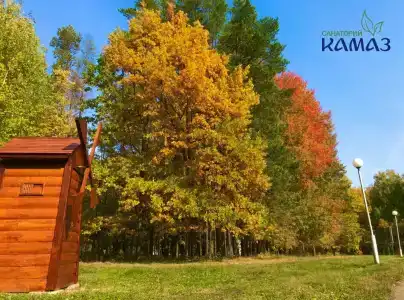 КАМАЗ Саулык - 33
