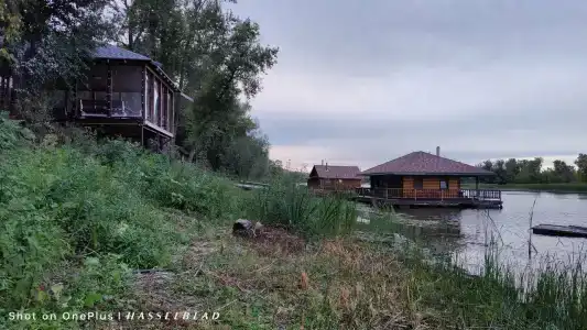 Роза Ветров - 14