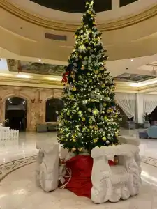 Titanic Palace - Families and Couples only - 50