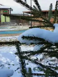 Афродита - 44