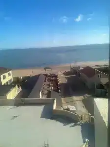 Атлант Экзотик - 85