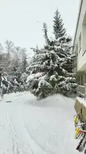 Пансионат Светлячок - 99