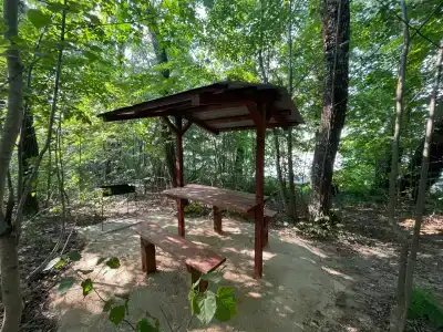 Соколино - 53