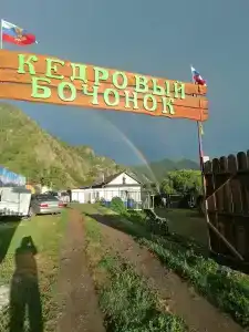 Кедровый бочонок - 13