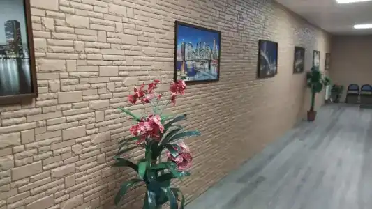 Ковчег - 15