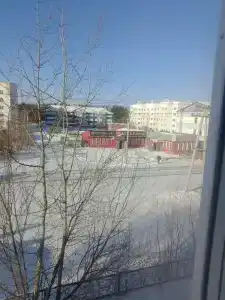 Ной - 10