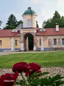 Новое Волосово - 64