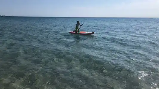 Мирабель - 45