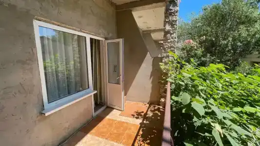 КристОля - 26