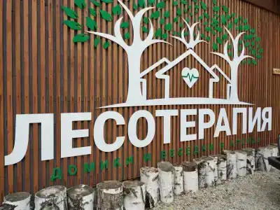 Лесотерапия - 7