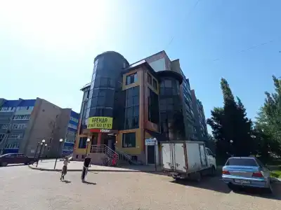 Пионер - 3