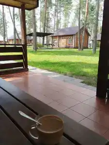 Олимп - 49