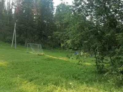 Рябинушка - 39