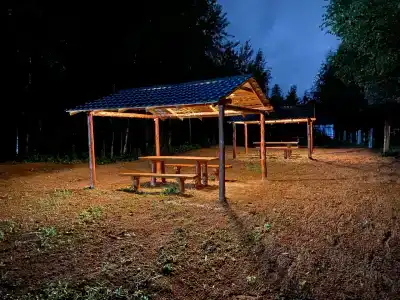 Своя волна - 31