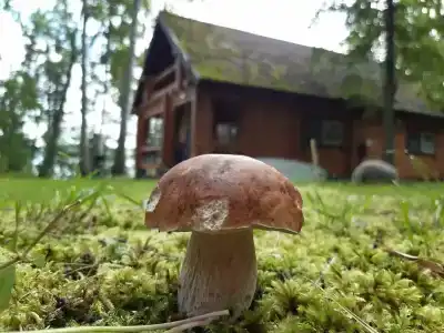 Песчаный берег - 1