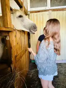 Усадьба Галат - 29