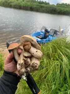 Гагарин Барн - 50