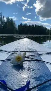 Родничок - 6