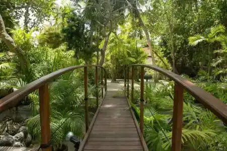 Embudu Village Resort - 27