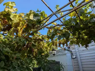 Морское Небо - 77