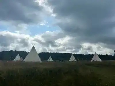 Рузмарин - 28