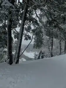 Рассвет - 33