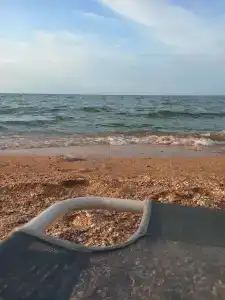 База отдыха у Петровича - 40