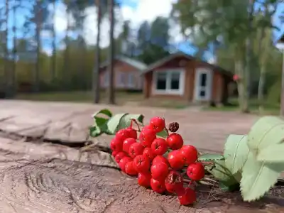 Бухта Лапиковых - 10