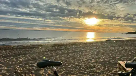 Репинская - 50