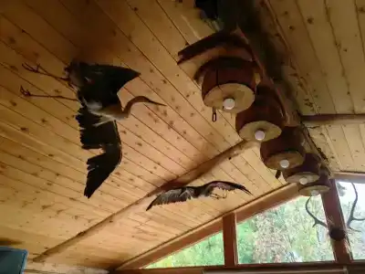 У Борисыча - 62