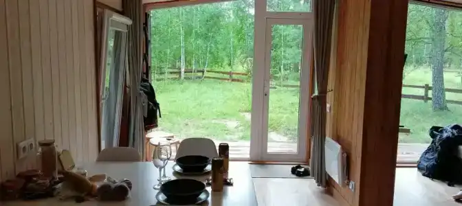 Ветер в соснах - 20