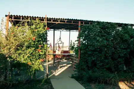 Тихий берег - 27