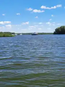 Подмосковье - 50