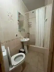 Аир - 54