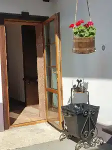 Снегири - 26