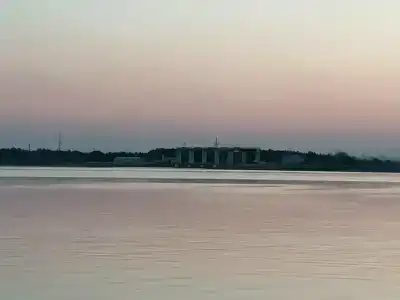 Сосновый бор - 2