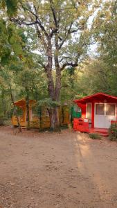 Эколоджия - 70