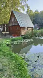 Нежный - 4