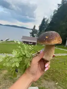 Хуторок у Сан Саныча - 33