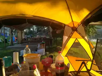 Зелёная роща - 50