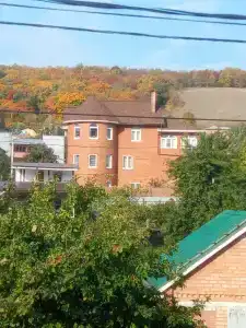 Волга - 24