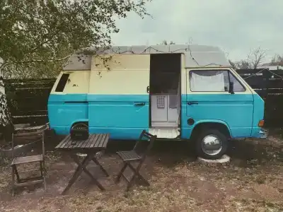 Дикая Дача - 4