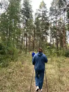 Сосны - 45